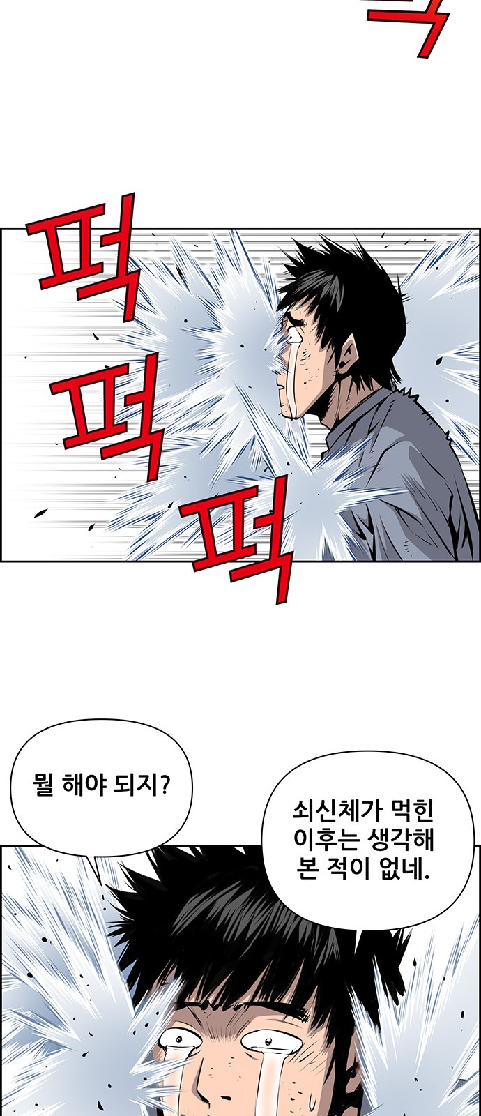 31 페이지