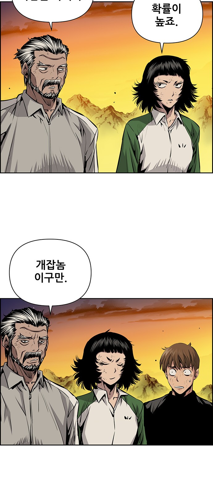14 페이지