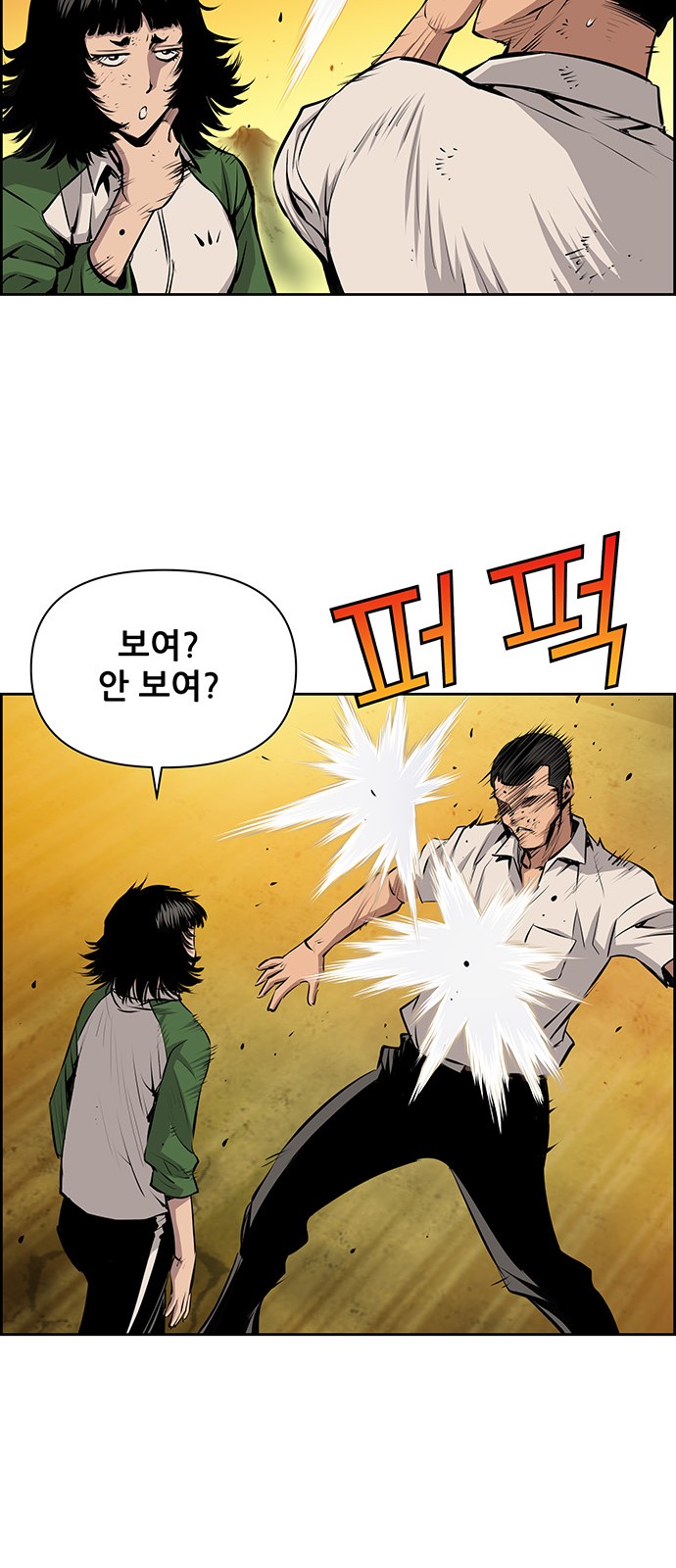 43 페이지