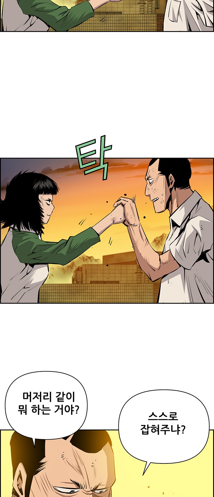46 페이지