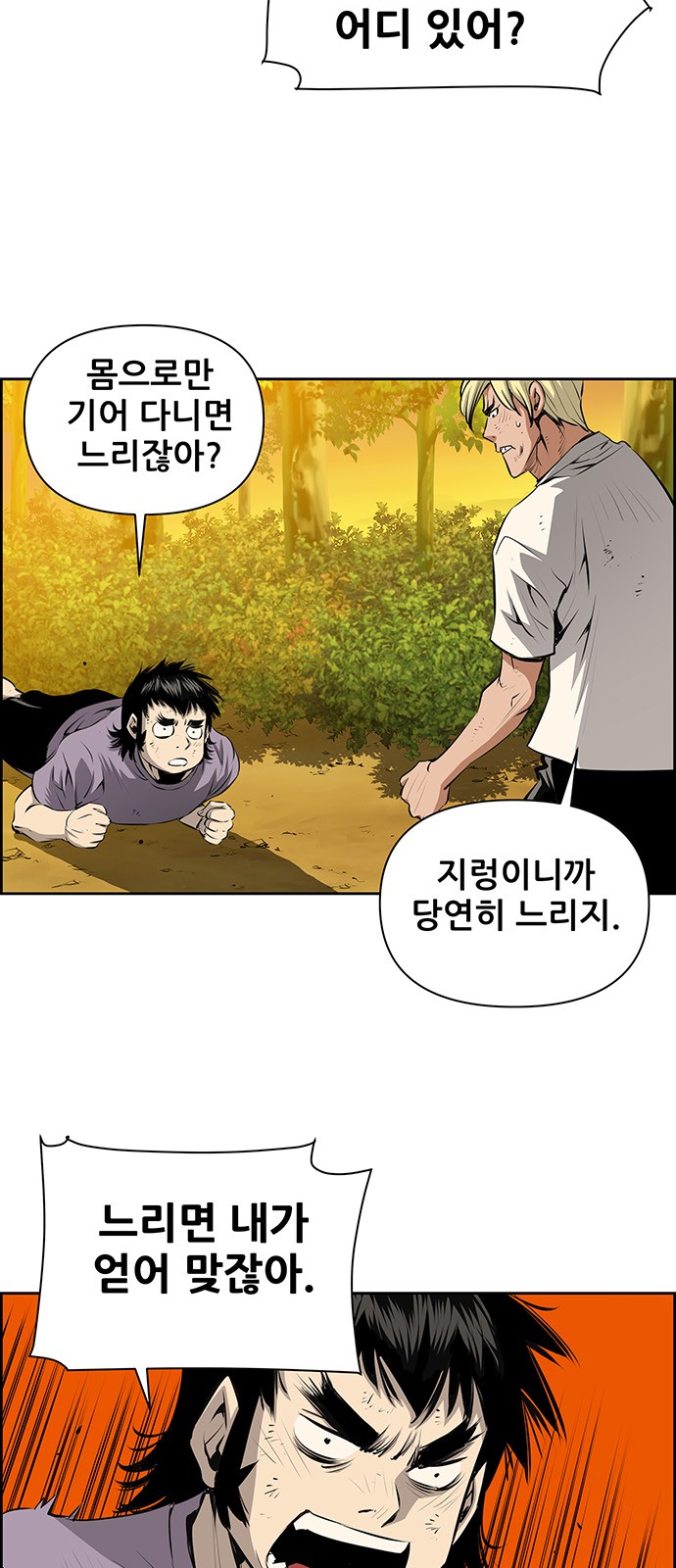 46 페이지