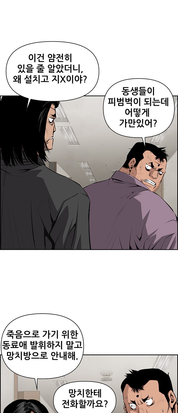 43 페이지