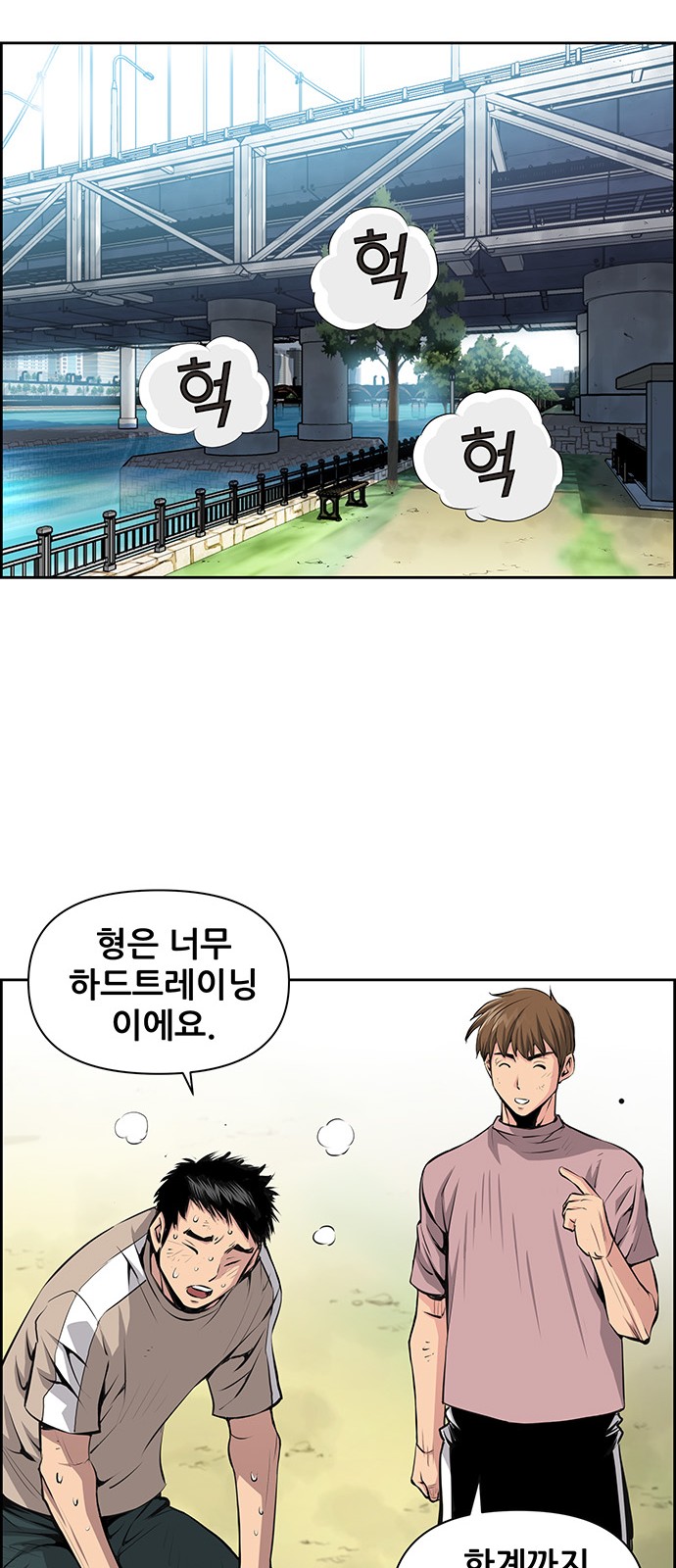 46 페이지