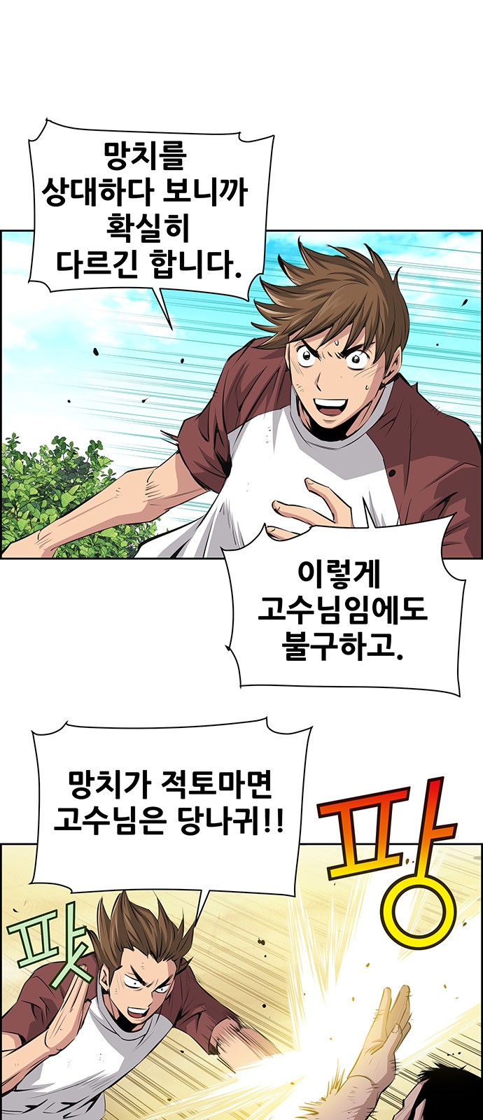 48 페이지