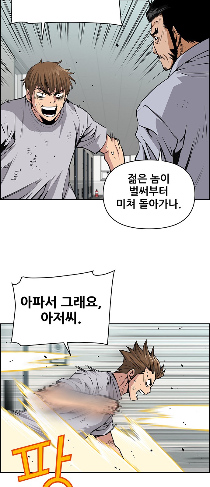 33 페이지