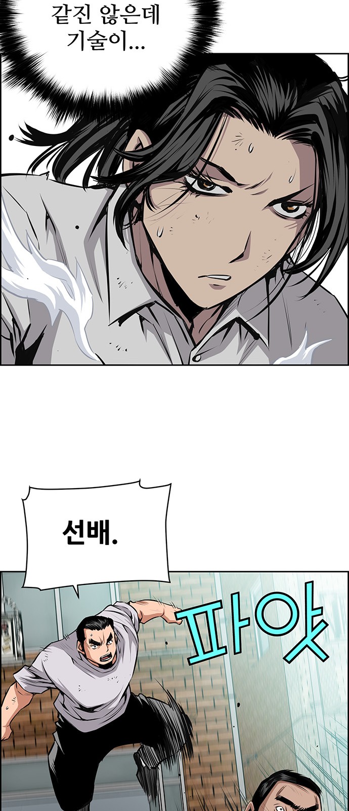 33 페이지