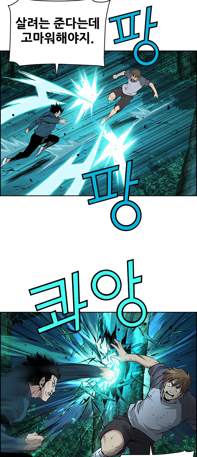 14 페이지