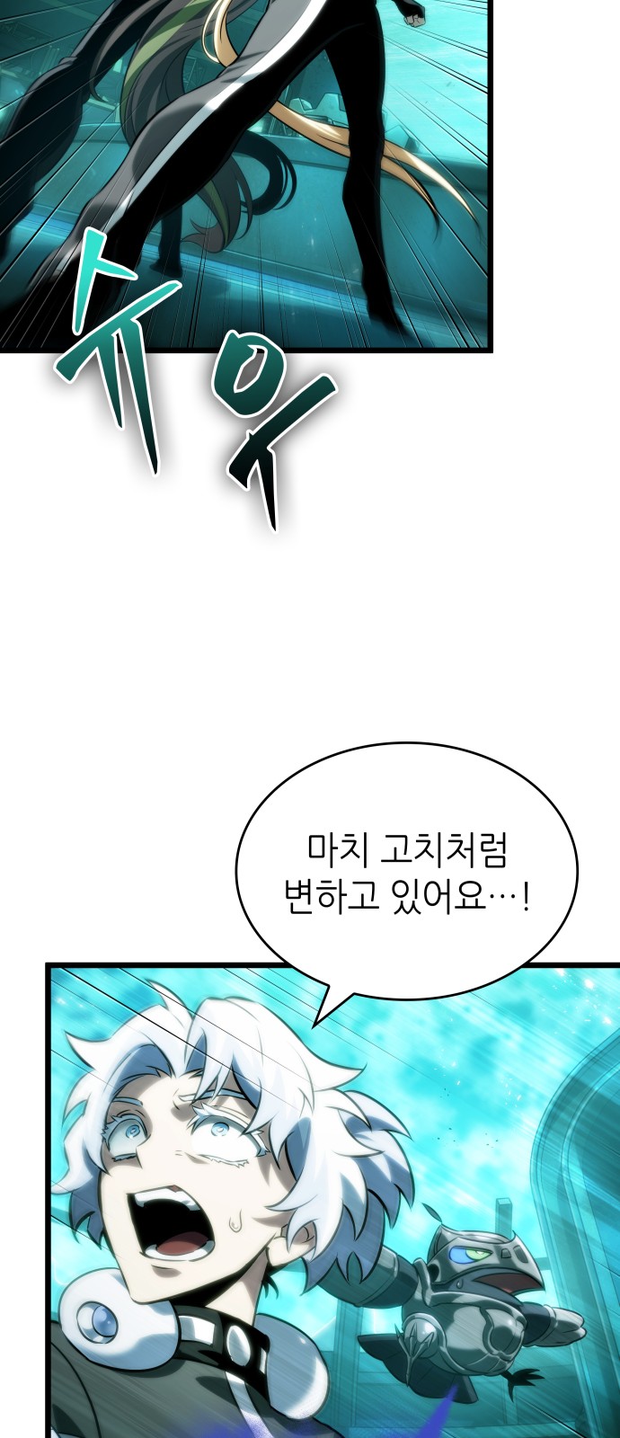 46 페이지
