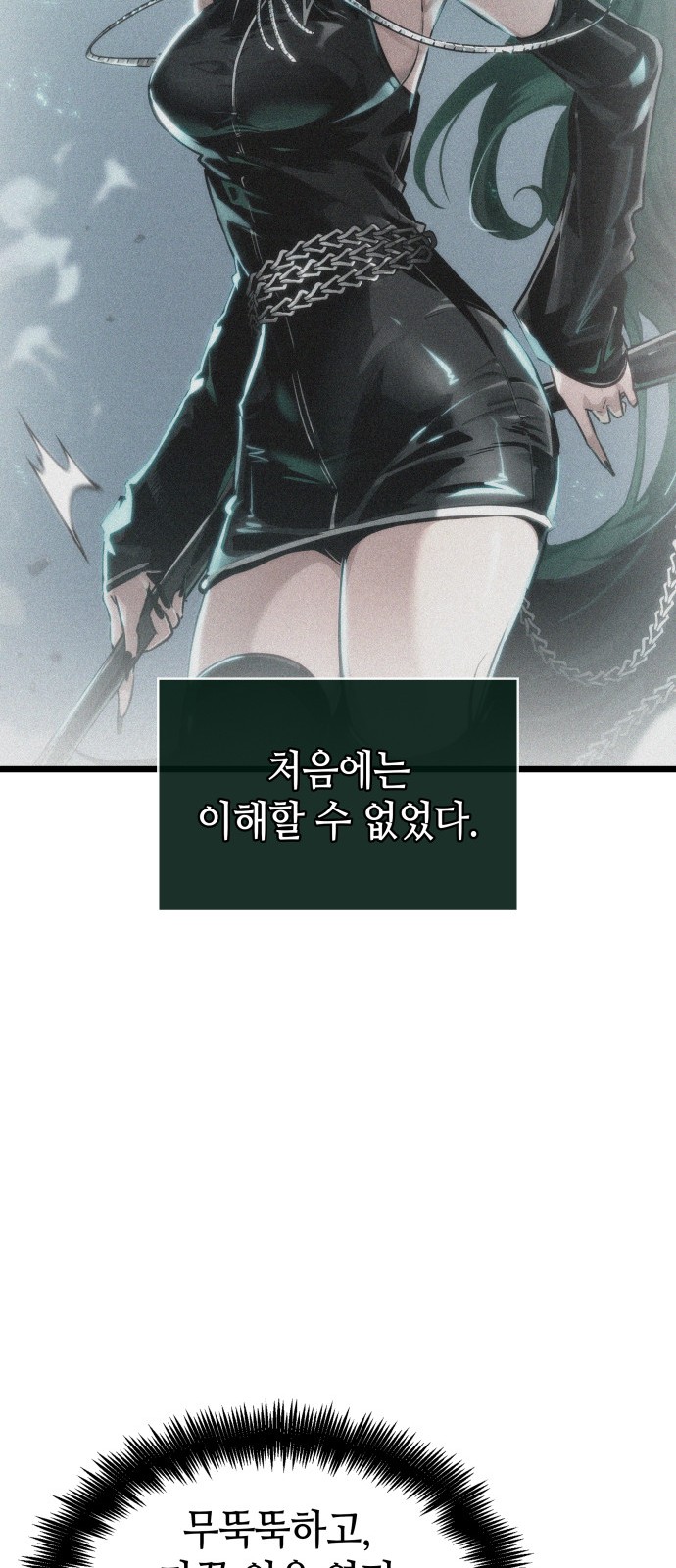 66 페이지