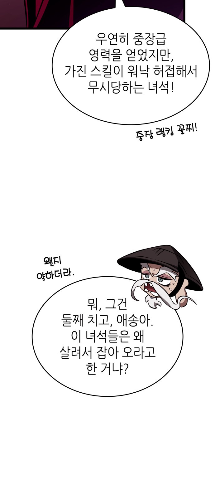 30 페이지