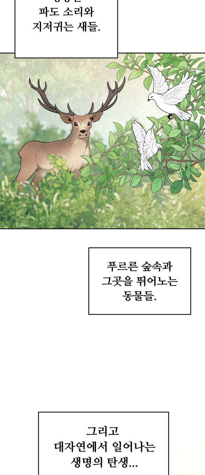 46 페이지