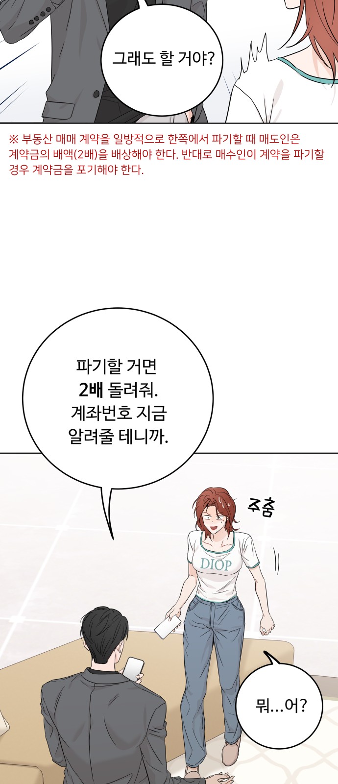 52 페이지