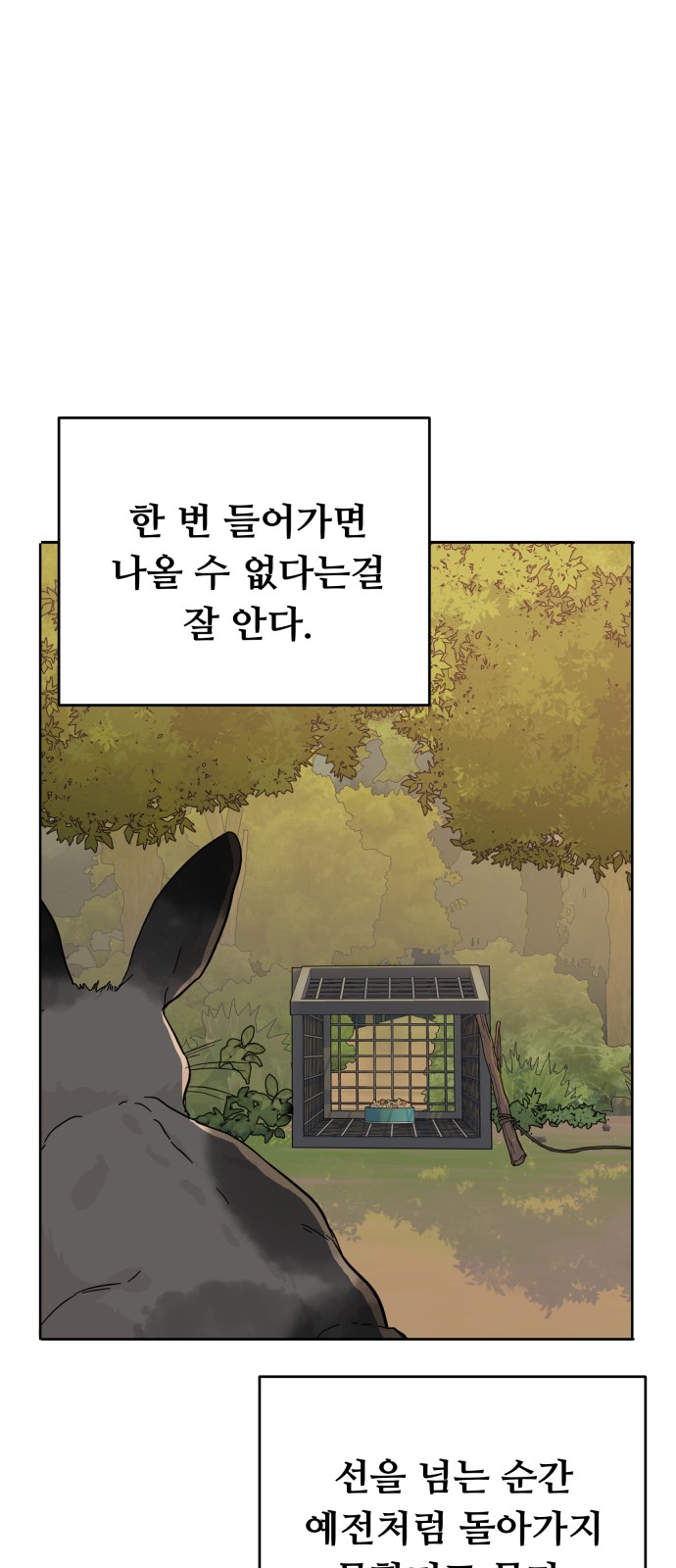 40 페이지
