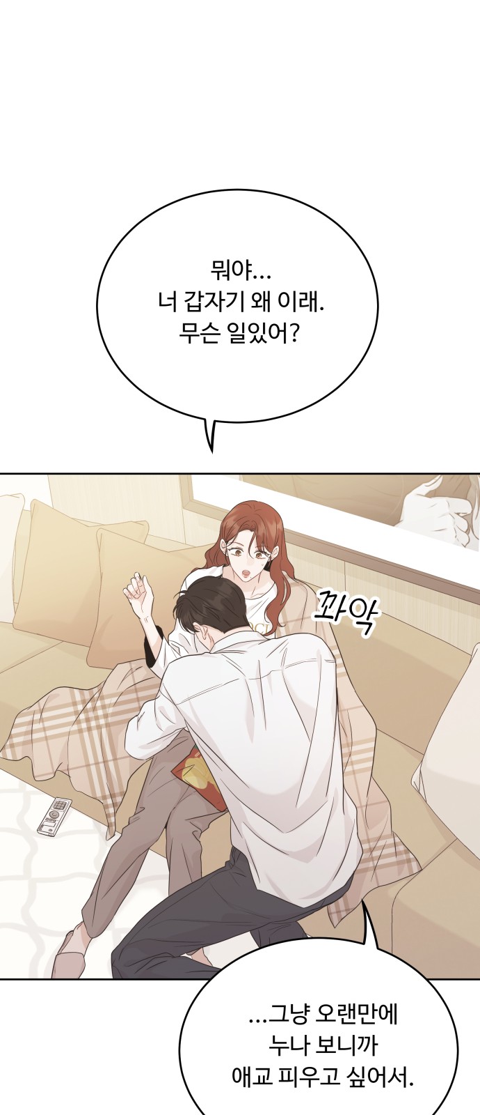 53 페이지