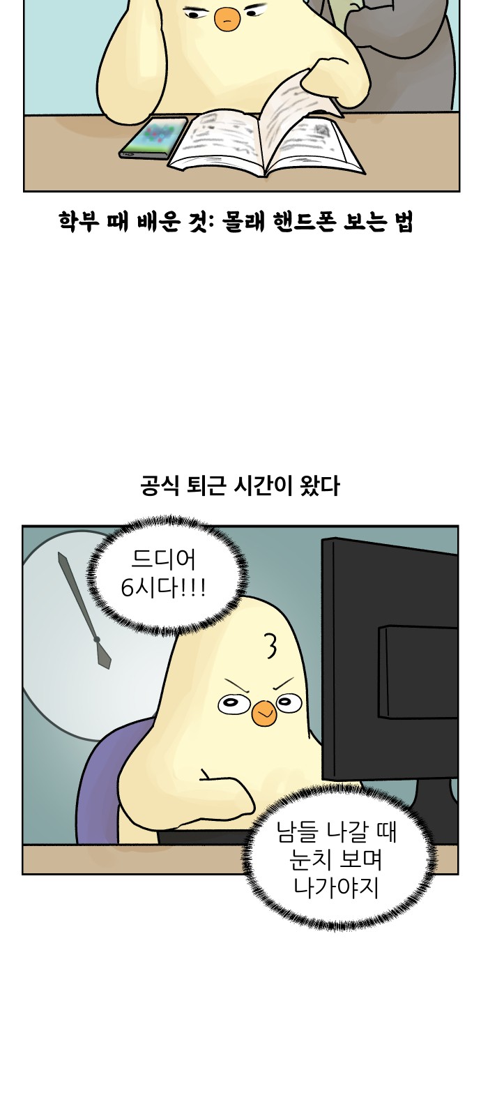 14 페이지
