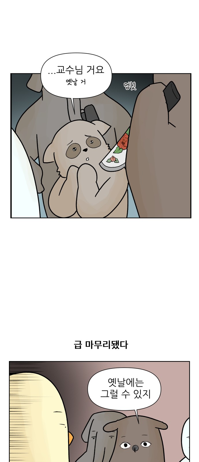 11 페이지
