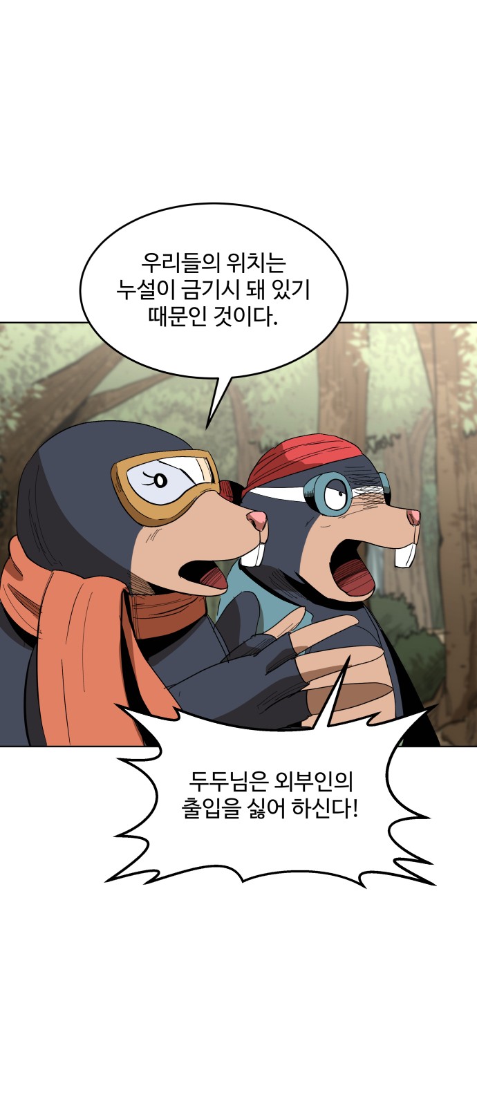 43 페이지