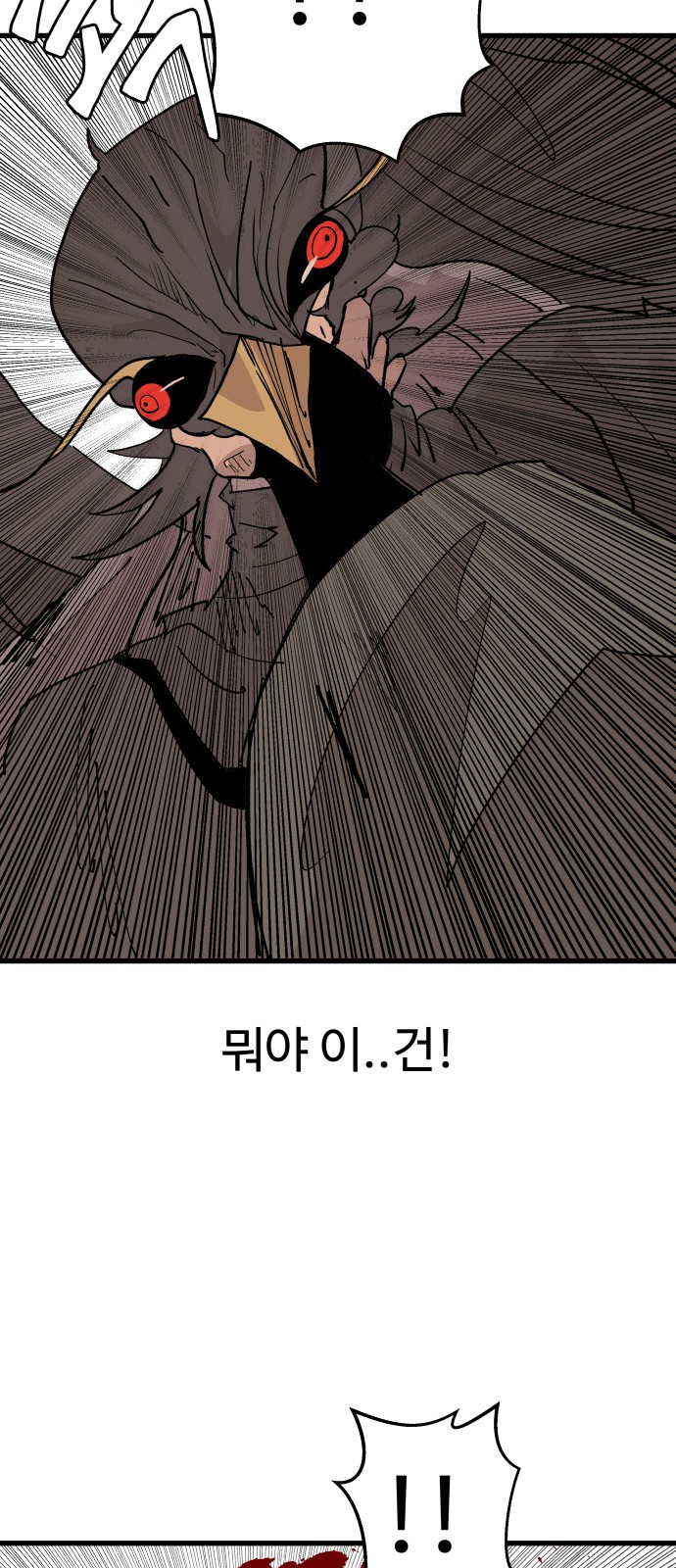 113 페이지