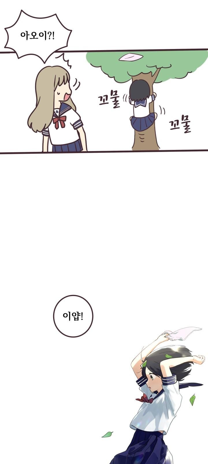 31 페이지