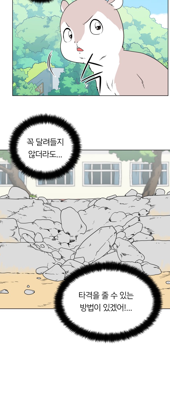40 페이지