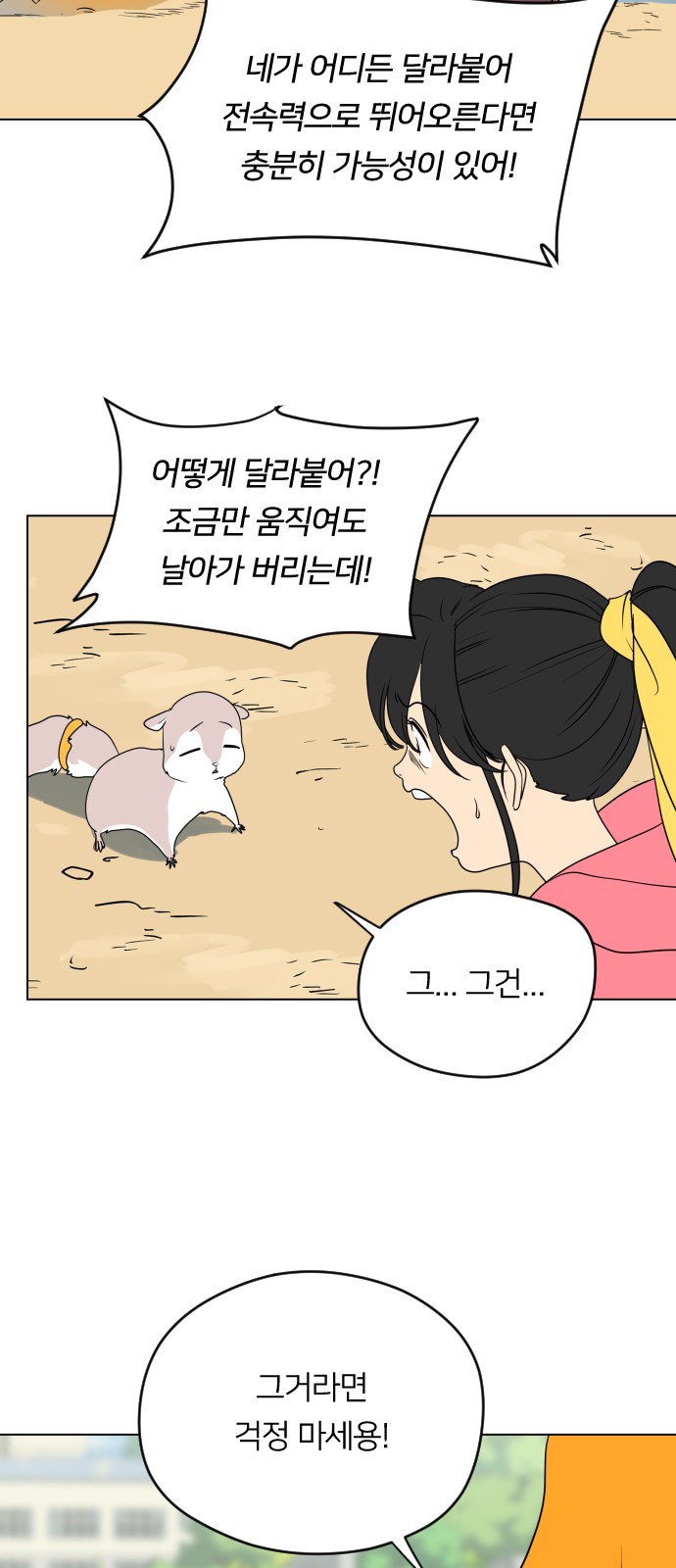 42 페이지