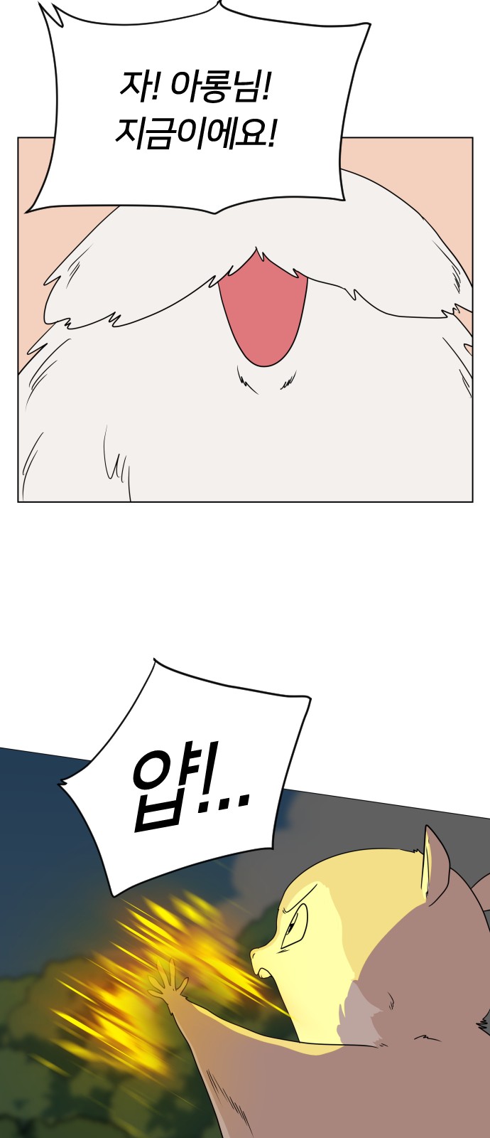 55 페이지
