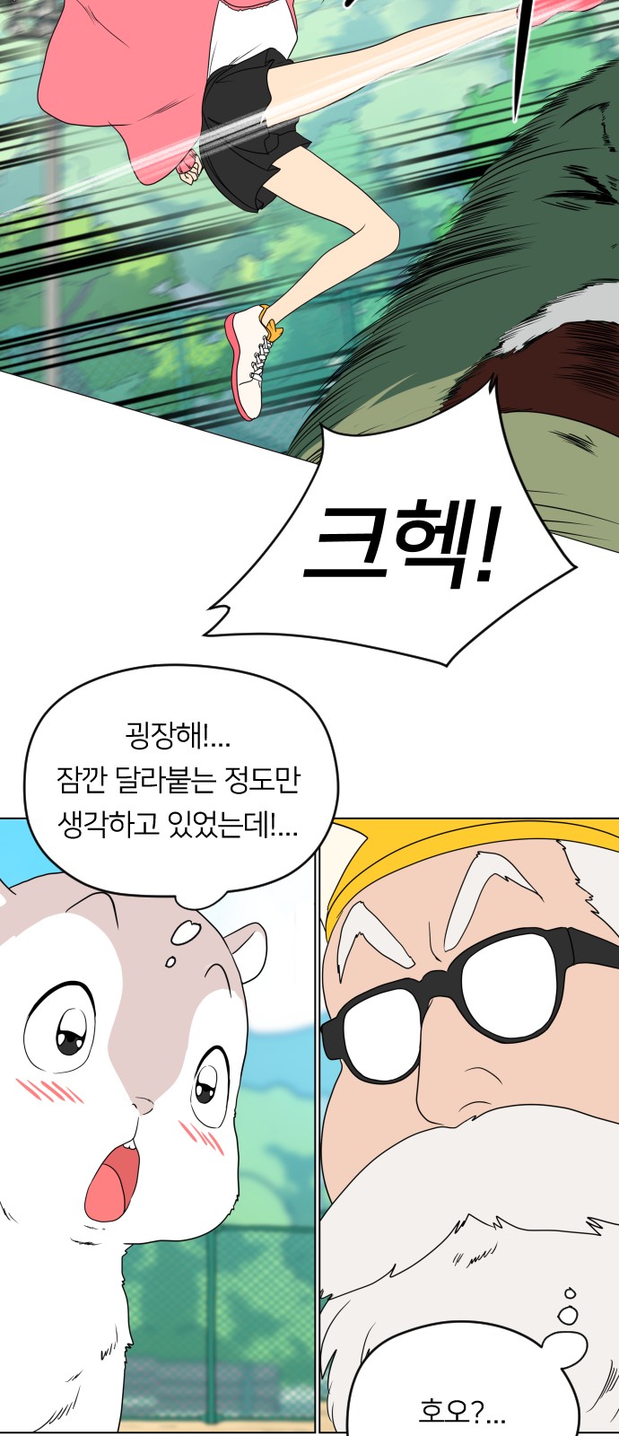 66 페이지