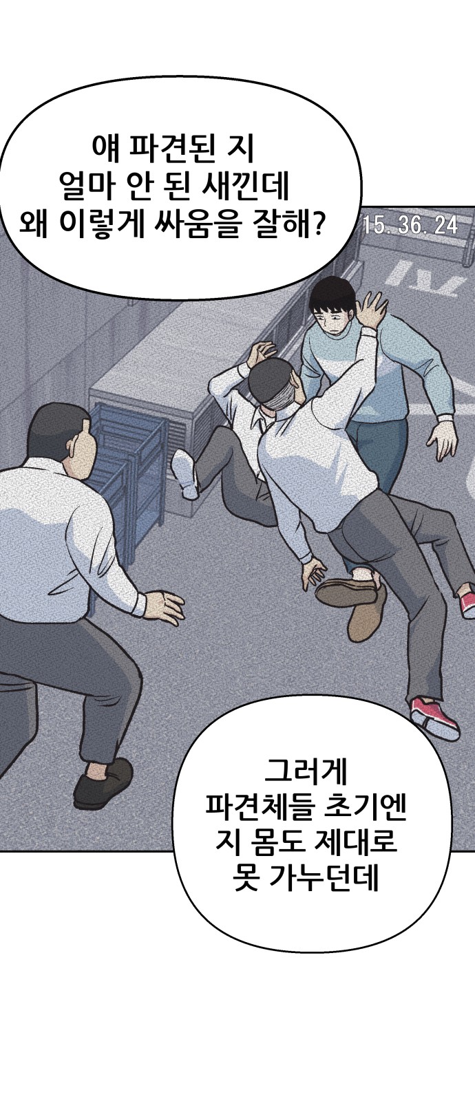 33 페이지