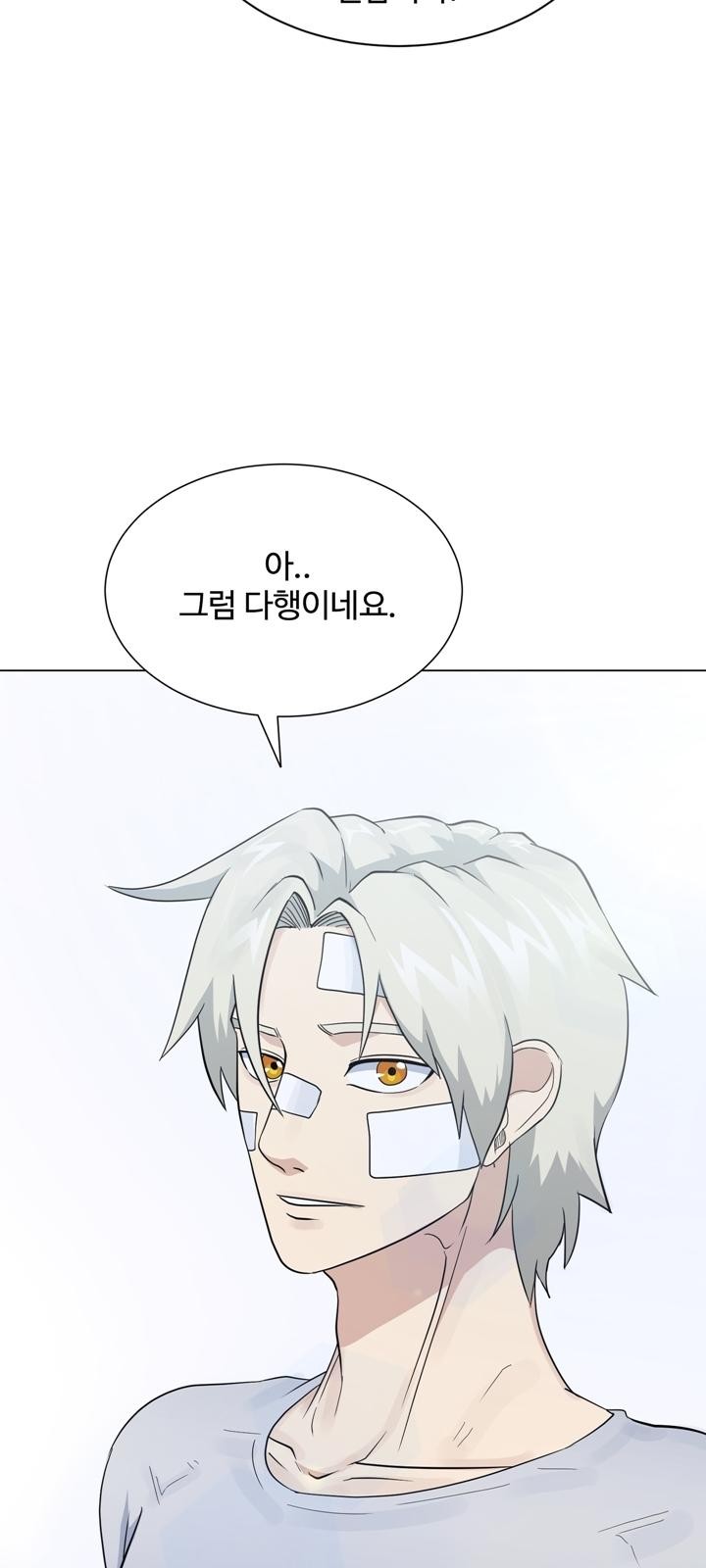 50 페이지