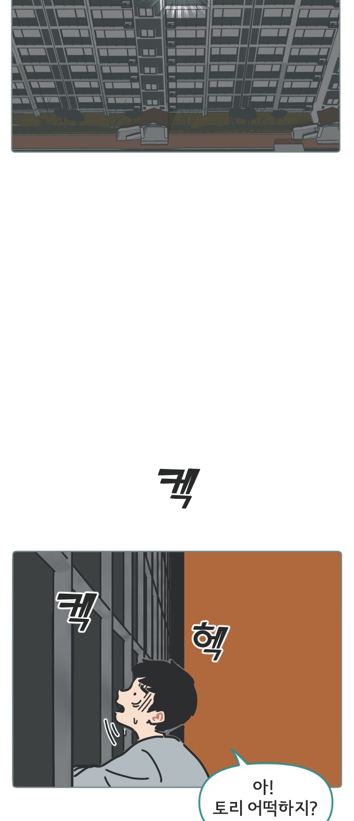 31 페이지