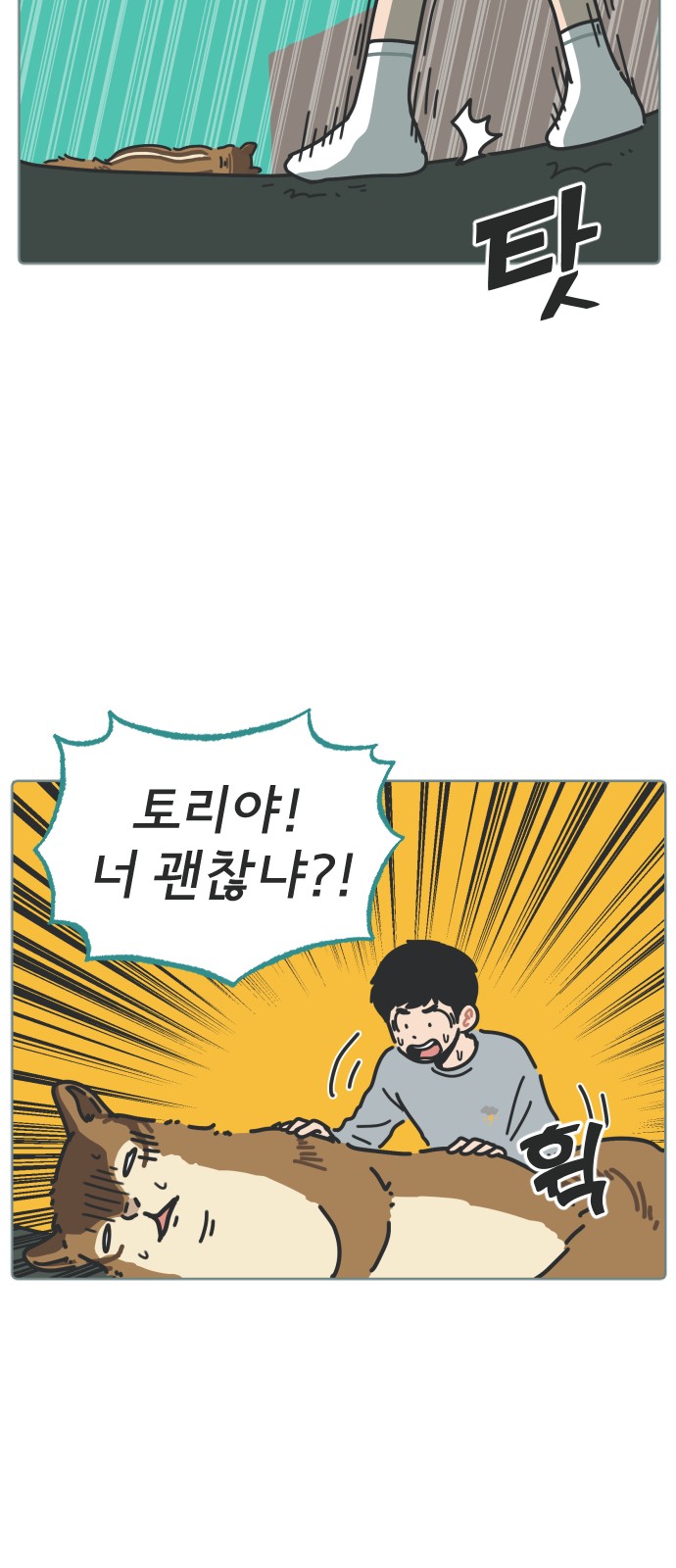35 페이지