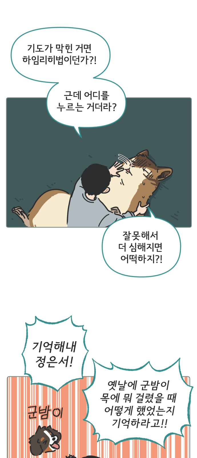 36 페이지