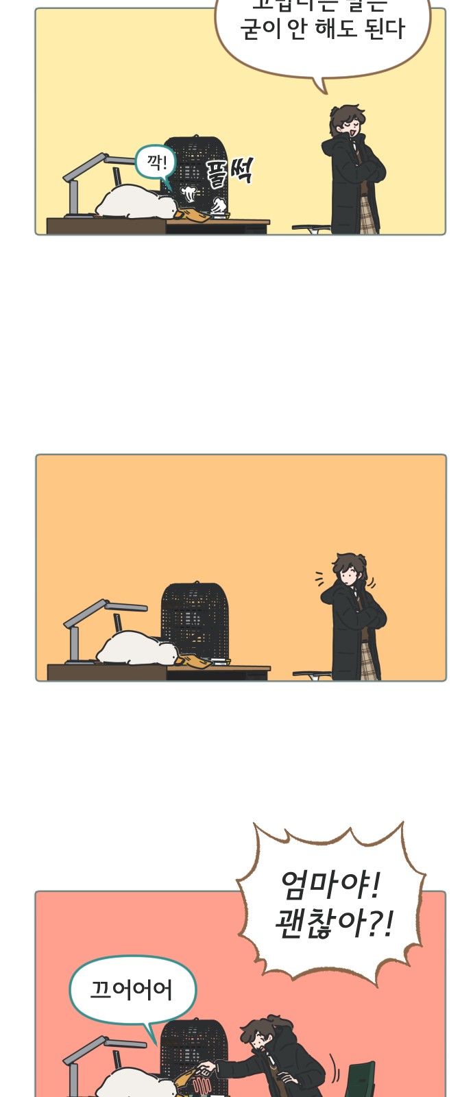 16 페이지