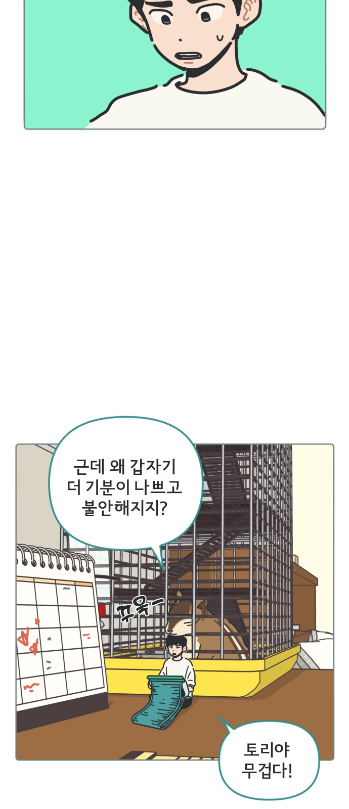 43 페이지