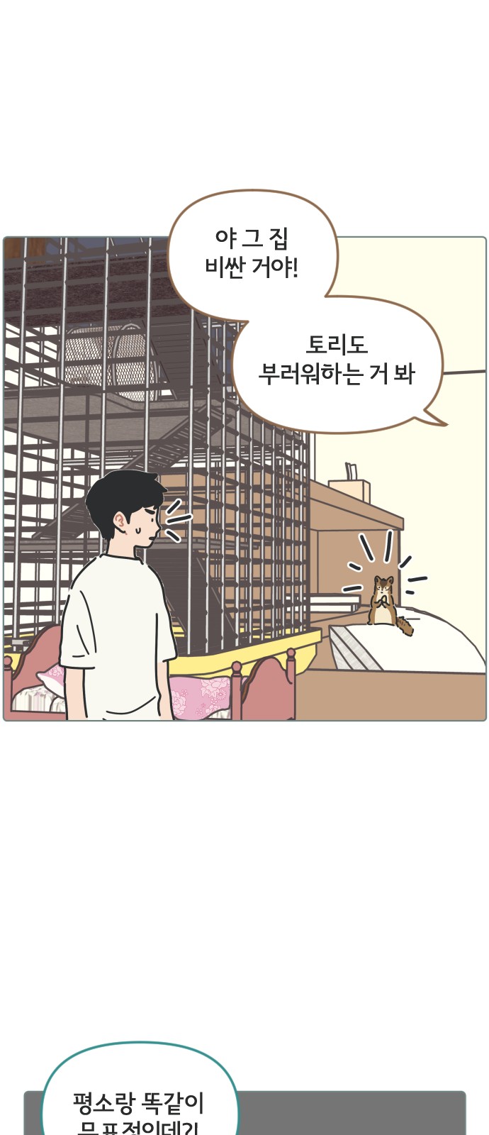 14 페이지