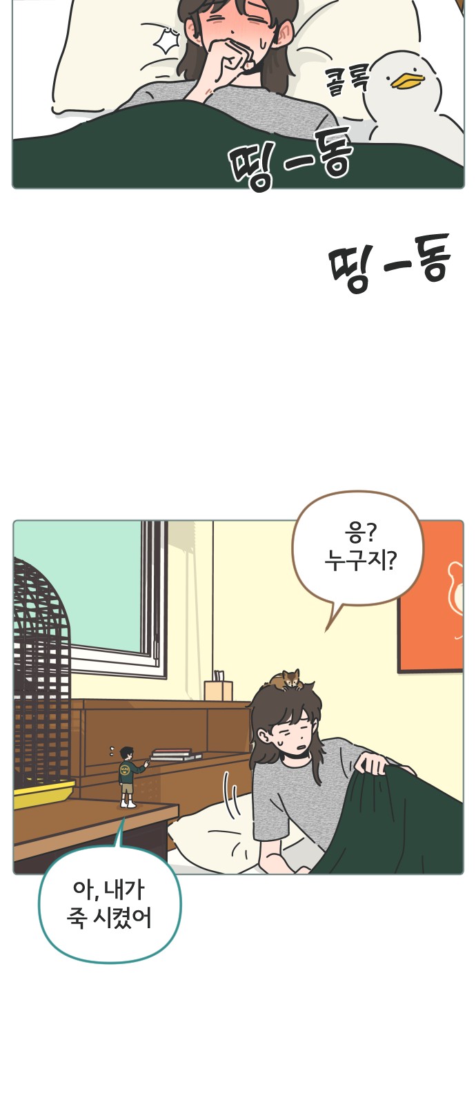 12 페이지
