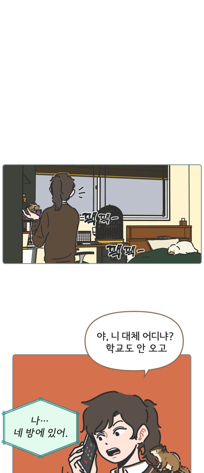 40 페이지