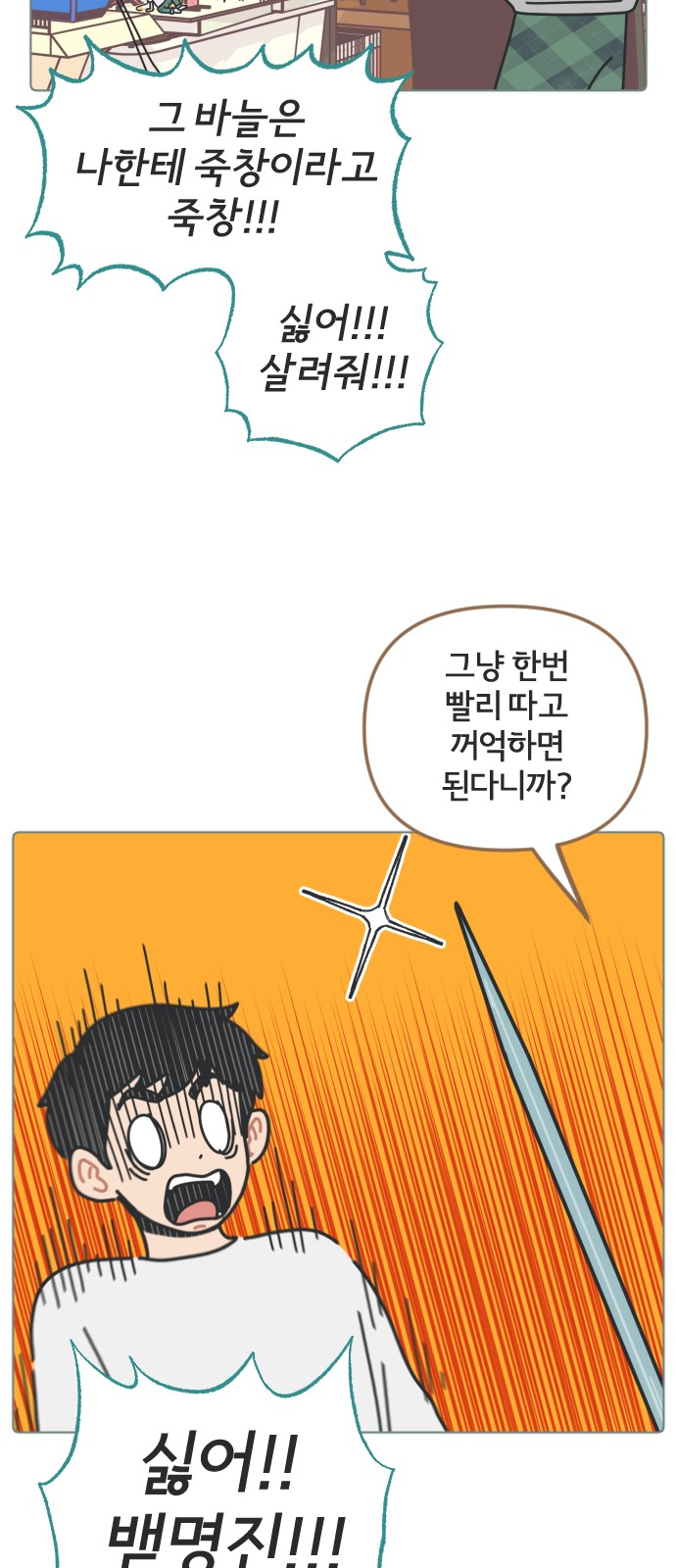 15 페이지