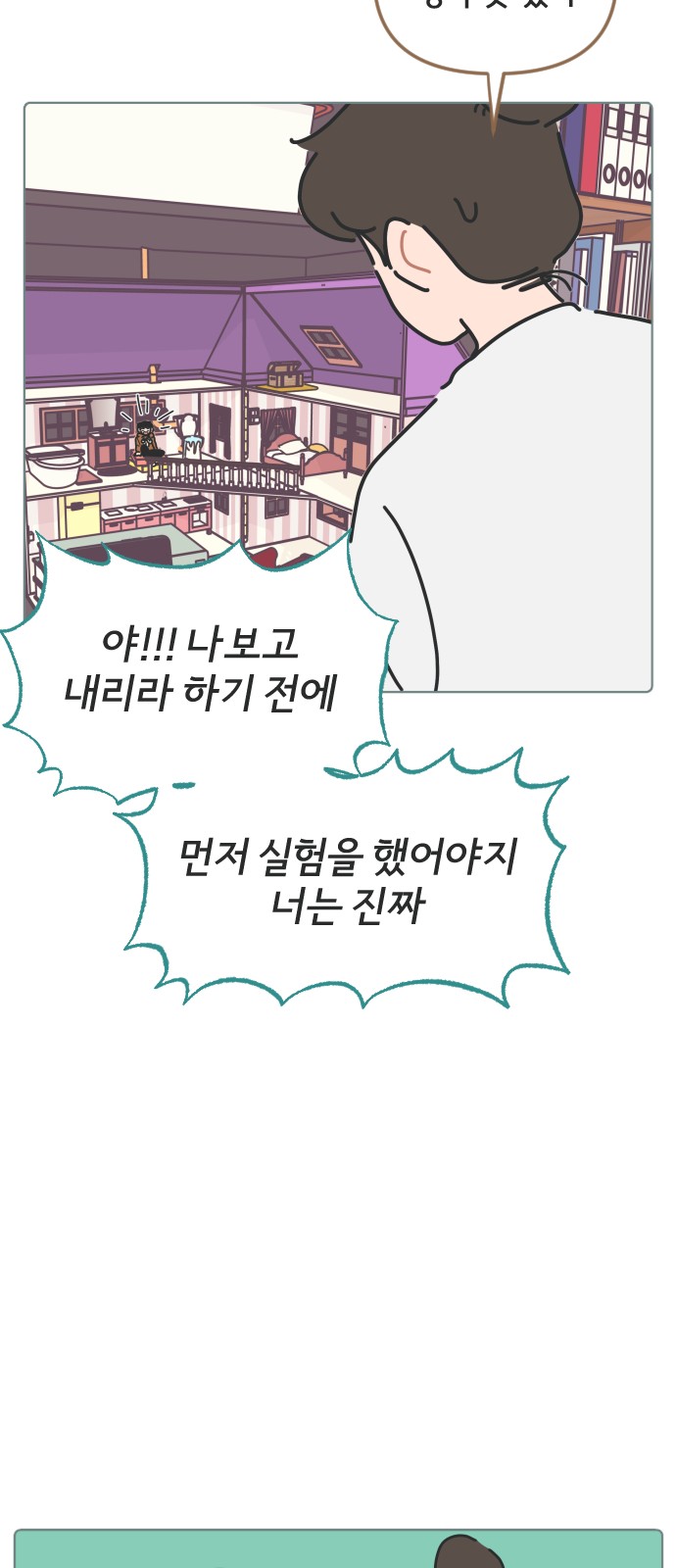 17 페이지