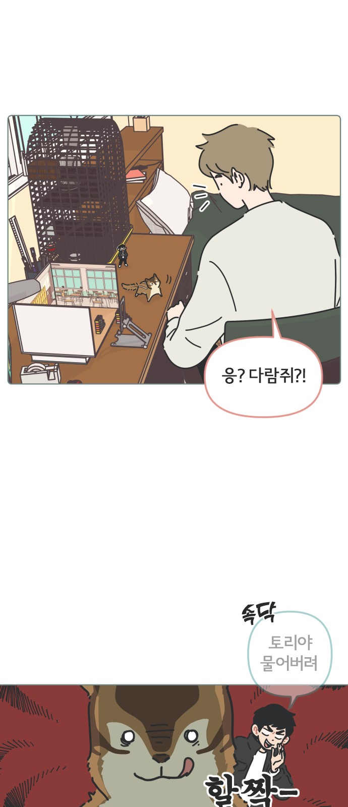 15 페이지