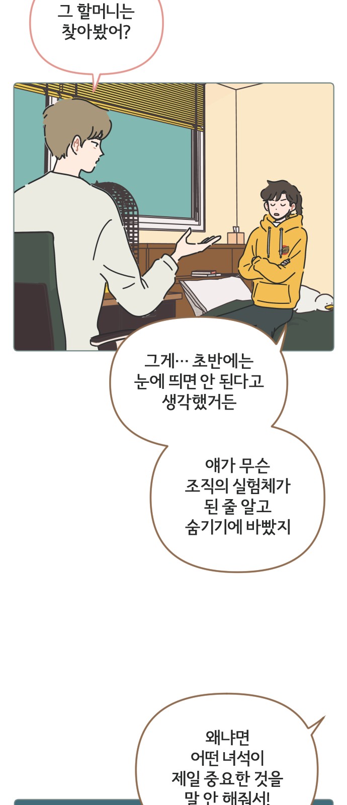 35 페이지