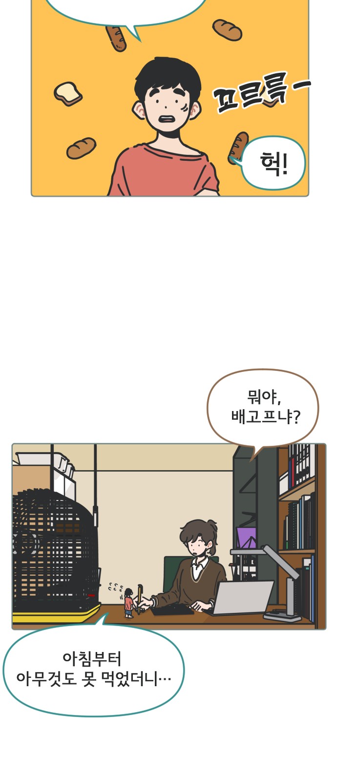 20 페이지