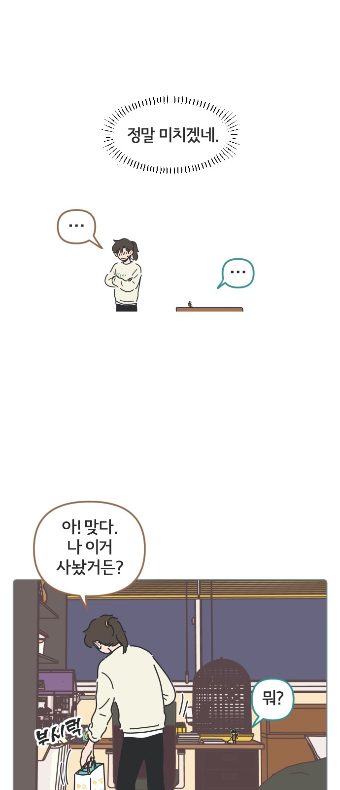 14 페이지