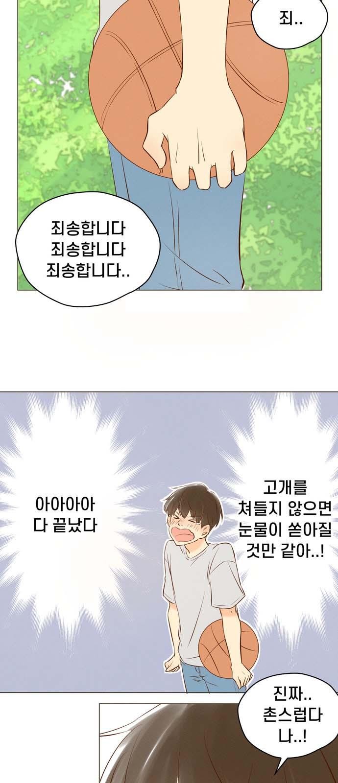 16 페이지