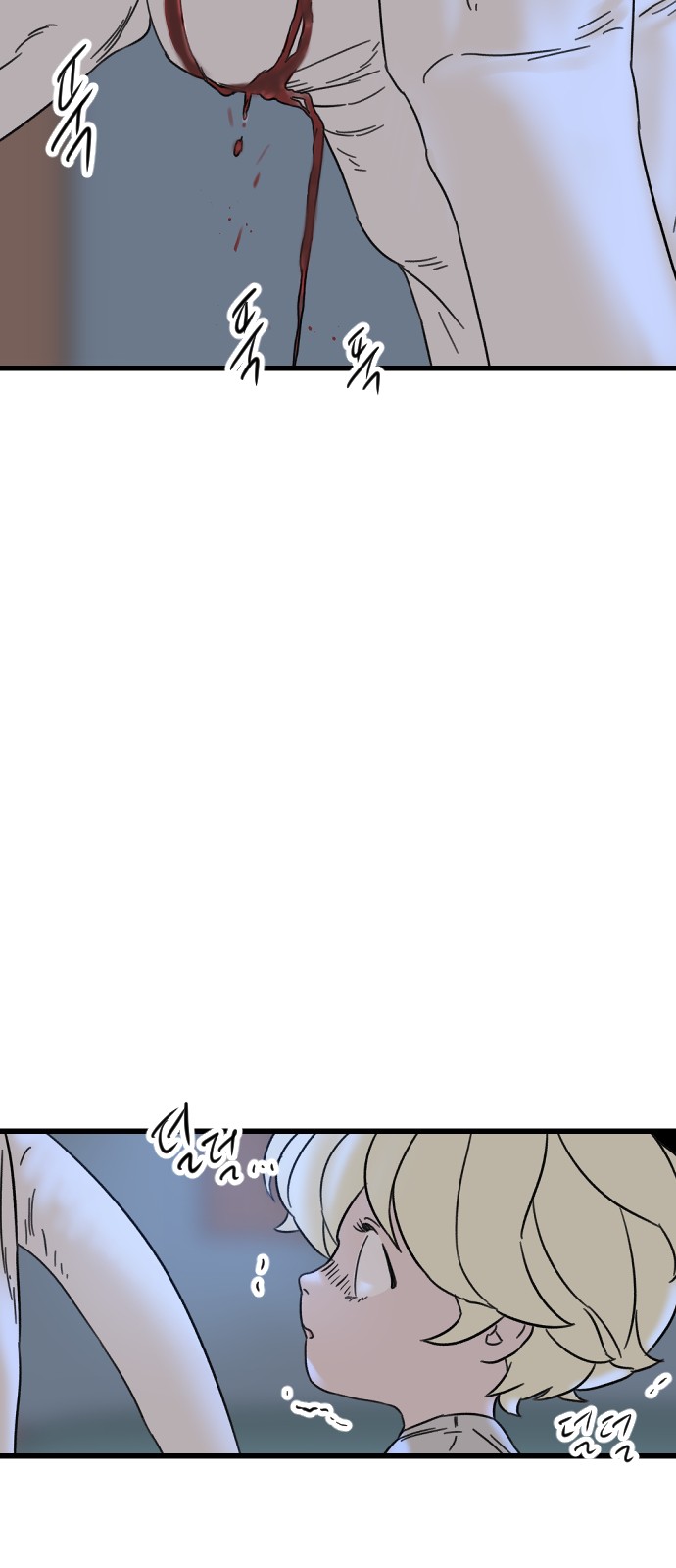 41 페이지