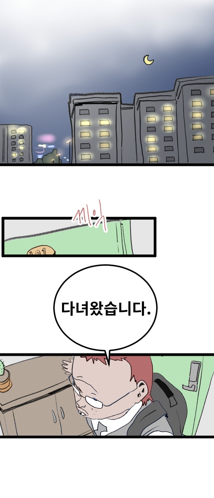 44 페이지