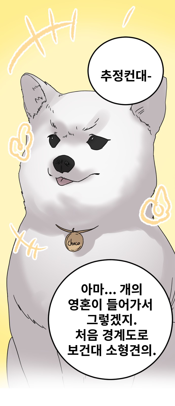 14 페이지