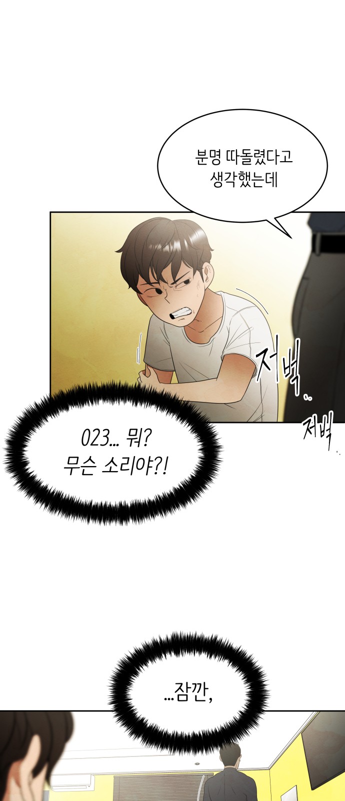 41 페이지