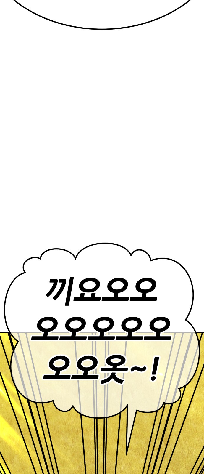 213 페이지