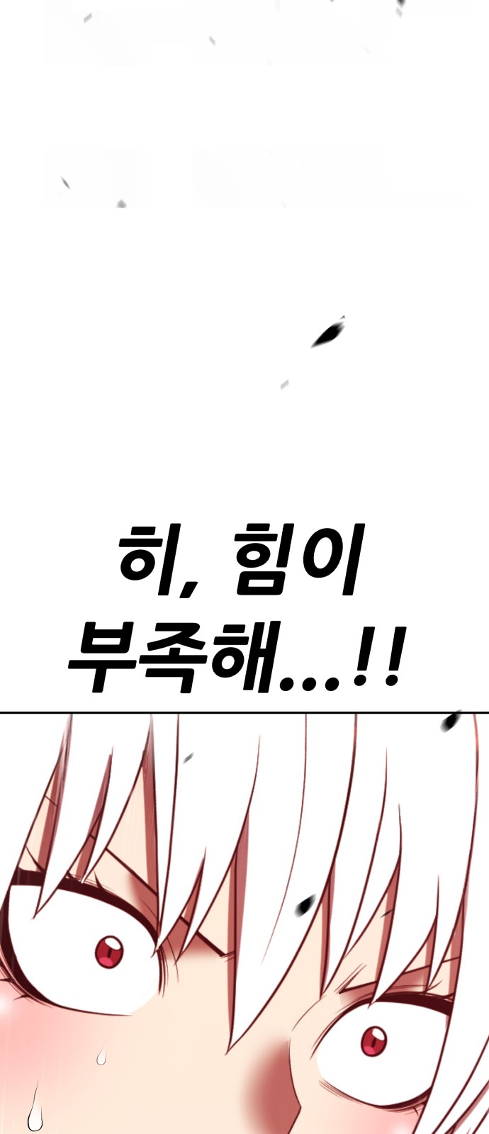 224 페이지